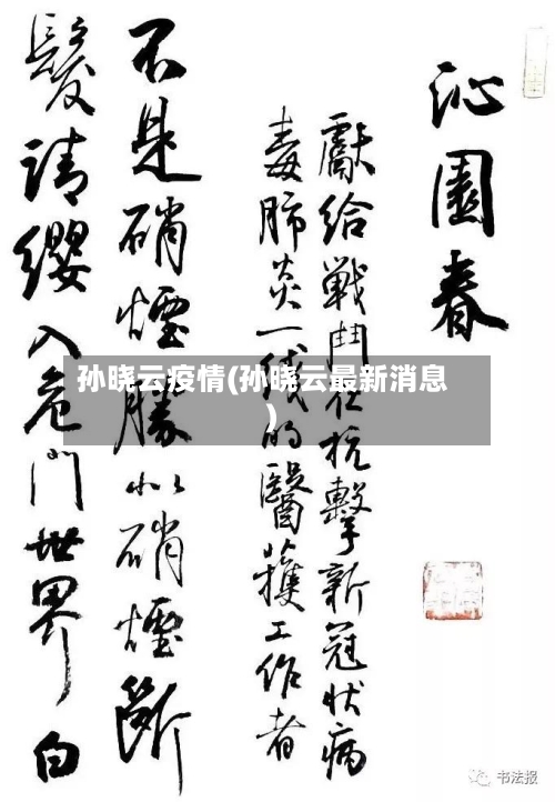孙晓云疫情(孙晓云最新消息)-第3张图片