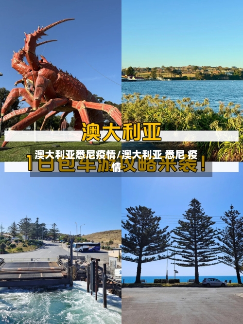 澳大利亚悉尼疫情/澳大利亚 悉尼 疫情-第1张图片