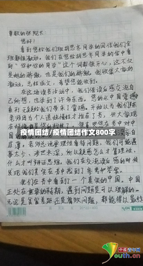 疫情团结/疫情团结作文800字-第2张图片
