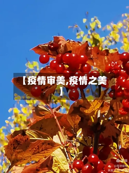 【疫情审美,疫情之美】-第3张图片