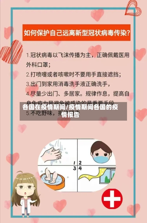 各国在疫情期间/疫情期间各国的疫情报告-第1张图片