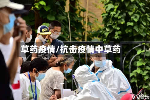 草药疫情/抗击疫情中草药-第3张图片