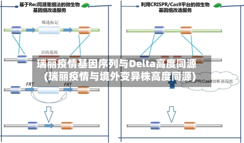 瑞丽疫情基因序列与Delta高度同源(瑞丽疫情与境外变异株高度同源)-第1张图片