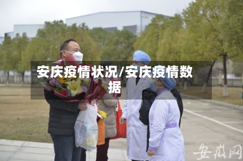 安庆疫情状况/安庆疫情数据-第2张图片