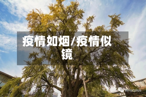 疫情如烟/疫情似镜-第3张图片