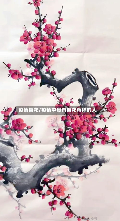 疫情梅花/疫情中具有梅花精神的人-第2张图片