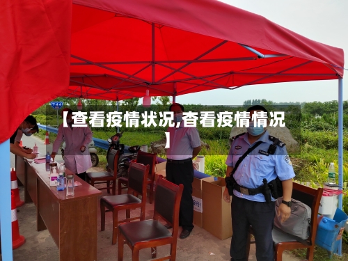 【查看疫情状况,杳看疫情情况】-第2张图片