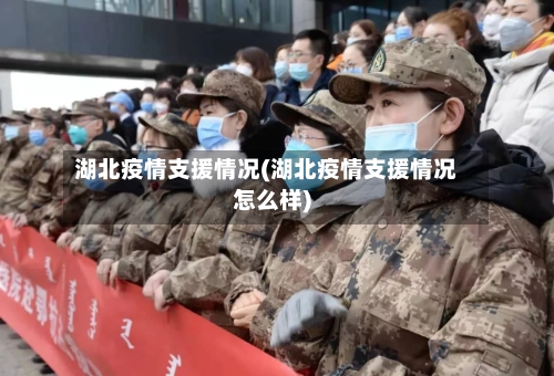 湖北疫情支援情况(湖北疫情支援情况怎么样)-第3张图片