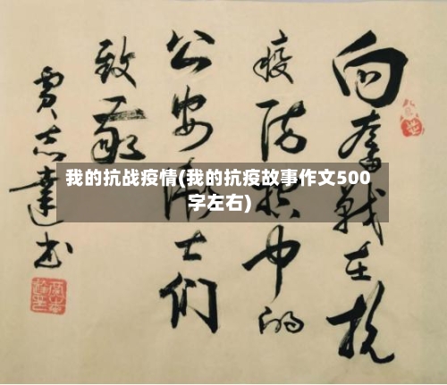 我的抗战疫情(我的抗疫故事作文500字左右)-第2张图片