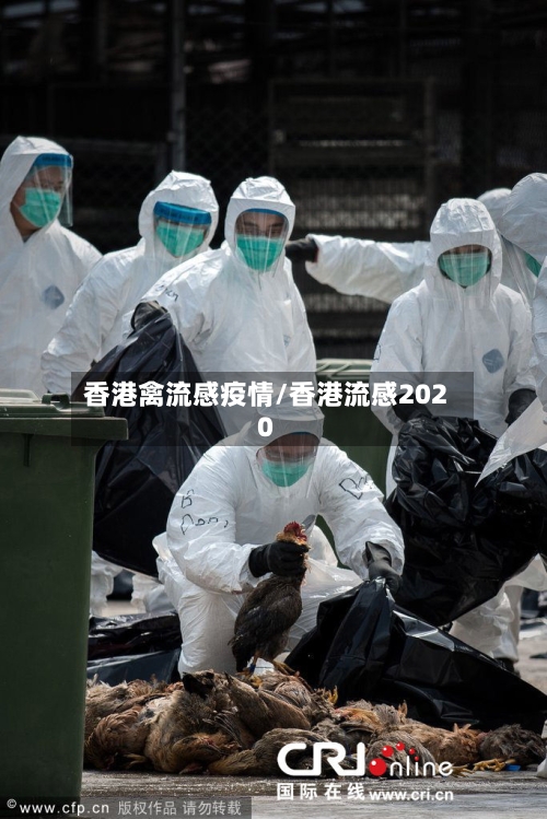 香港禽流感疫情/香港流感2020-第3张图片