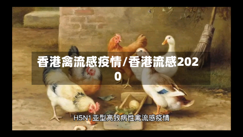 香港禽流感疫情/香港流感2020-第1张图片