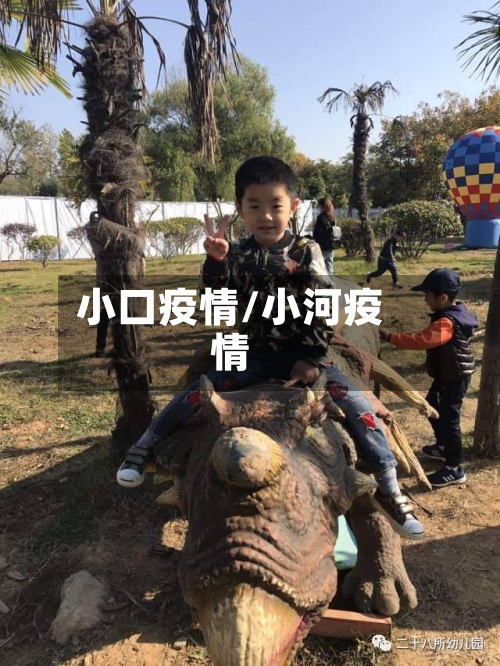 小口疫情/小河疫情-第1张图片