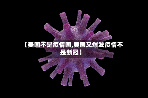【美国不是疫情国,美国又爆发疫情不是新冠】-第1张图片