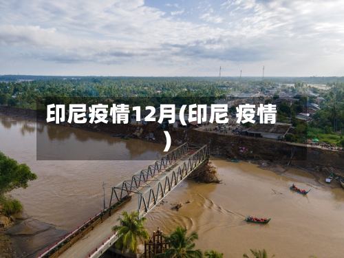 印尼疫情12月(印尼 疫情)-第1张图片