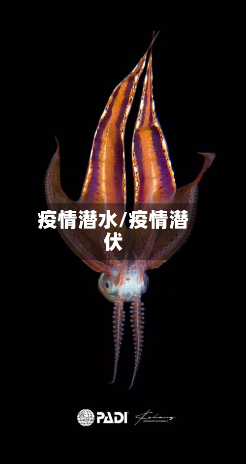 疫情潜水/疫情潜伏-第1张图片
