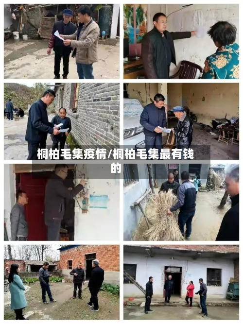 桐柏毛集疫情/桐柏毛集最有钱的-第1张图片