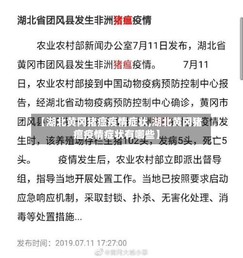 【湖北黄冈猪瘟疫情症状,湖北黄冈猪瘟疫情症状有哪些】-第1张图片