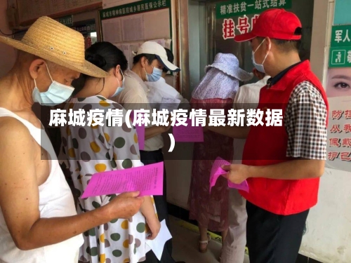 麻城疫情(麻城疫情最新数据)-第3张图片