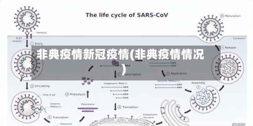 非典疫情新冠疫情(非典疫情情况)-第1张图片