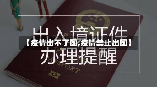 【疫情出不了国,疫情禁止出国】-第1张图片