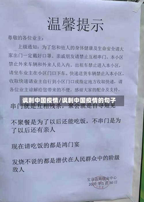 讽刺中国疫情/讽刺中国疫情的句子-第1张图片