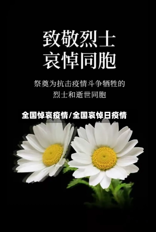 全国悼哀疫情/全国哀悼日疫情-第1张图片