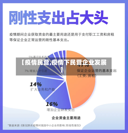 【疫情民营,疫情下民营企业发展】-第1张图片