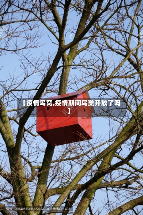 【疫情鸟窝,疫情期间鸟巢开放了吗】-第1张图片