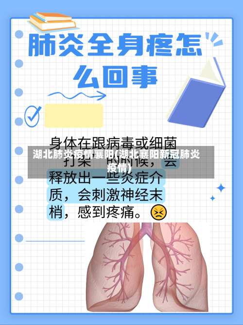 湖北肺炎疫情襄阳(湖北襄阳新冠肺炎疫情)-第2张图片